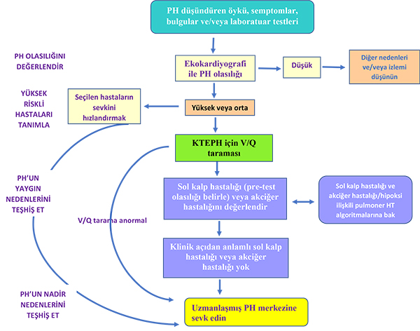 Pulmoner Hipertansiyonda Hemodinamik Değerlendirme | Makale | Türkiye Klinikleri