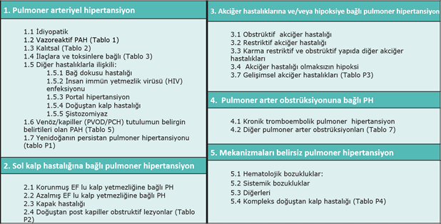 Türkiye Klinikleri Kardiyoloji - Özel Konular
